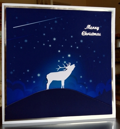 Yule Tide Magic 249 - Reindeer Magic - 3D Decoupage + Insert & Tag by CAROL LODGE