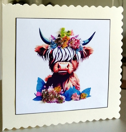 Baby highland cow by CAROL LODGE