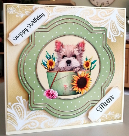 Cute Puppies and Sunflowers 6 x 6 All Occasions Cards x 4 by CAROL LODGE