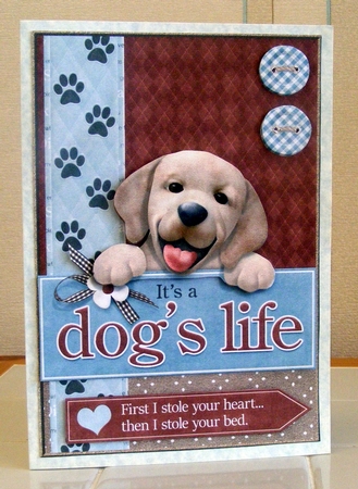 Its a Dogs Life  by CAROL LODGE