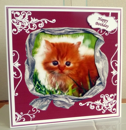 GINGER KITTEN MULTI SENTIMENTS by CAROL LODGE