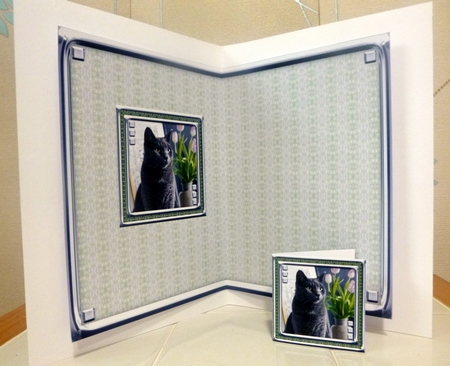 JJ LOVE MY CAT 11 5X7 INSERT. by CAROL LODGE