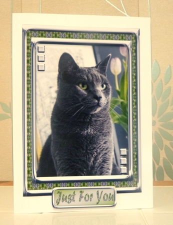 JJ LOVE MY CAT 11 5X7 INSERT. by CAROL LODGE