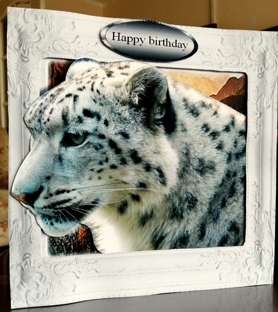snow leopard by CAROL LODGE