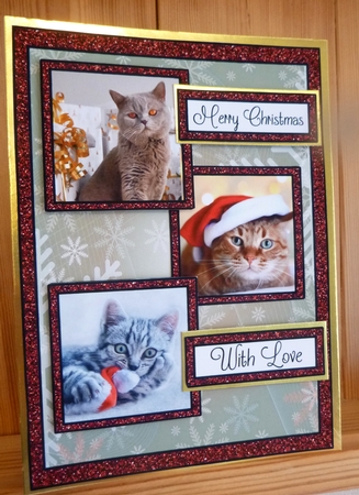Glittery Christmas Kitties by CAROL LODGE