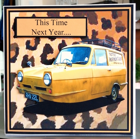Robin Reliant - Nice Little Runner by CAROL LODGE
