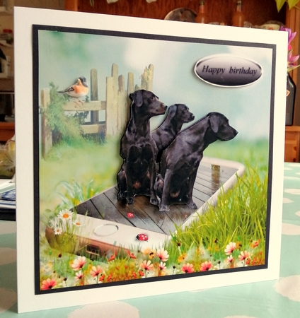 3 black labs by CAROL LODGE