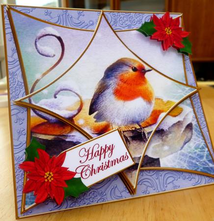 Blue Robin1 3D Star Card Mini Kit by CAROL LODGE