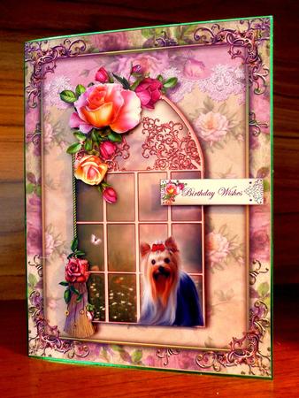 Pink Paw Prints on the Window by CAROL LODGE