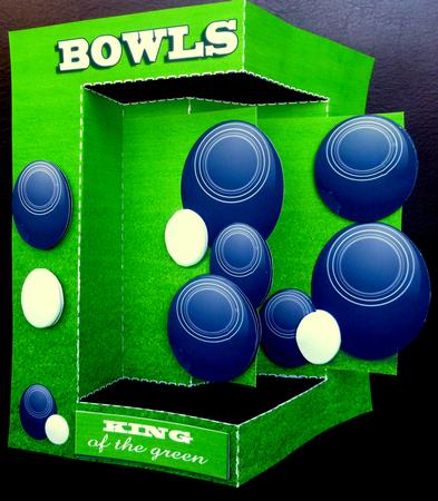 W Fold Lawn Bowls by CAROL LODGE