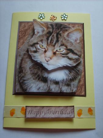 Tabby Cat Portrait 3D Decoupage by Carol McDonald