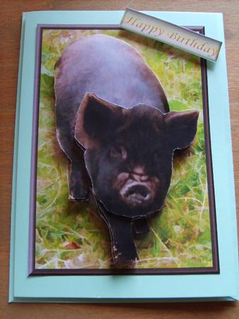 Pot Bellied Pig 3D Decoupage by Carol McDonald