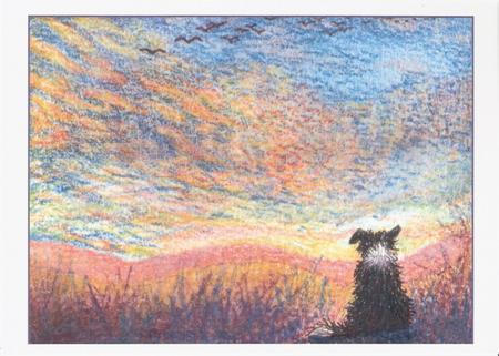 Dog Gazing at the Colour of Evening by Carol Munt