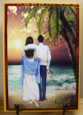 Sunset and Tropical Beach Walks by Carol N Watson