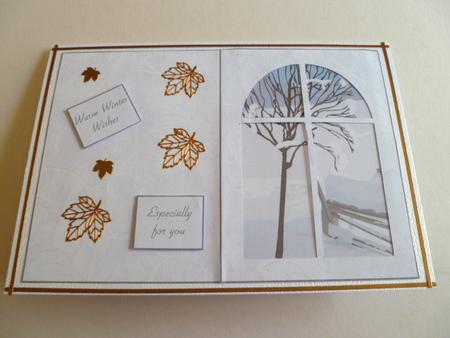 Winter Scene Window Card Kit by Carol Sear