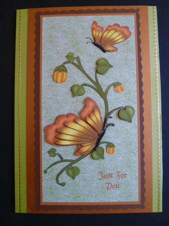 Just for You Butterfly Step by Step by Carol Sear