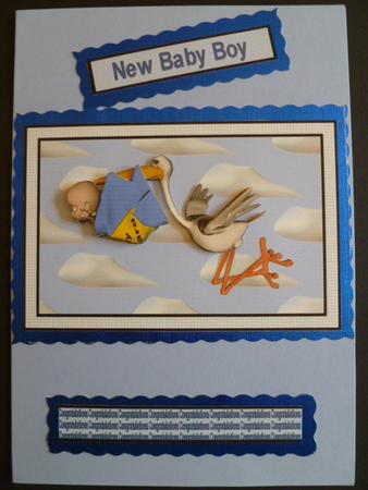 Bringing the Baby Boy Step by Step by Carol Sear
