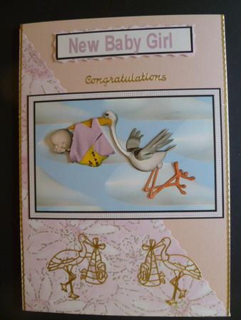 Bringing the Baby Girl Step by Step by Carol Sear