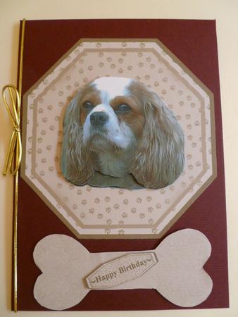 Cavalier King Charles Plate Shaped Card & Stand by Carol Sear