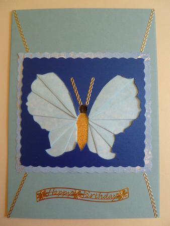 Luna Butterfly by Carol Sear