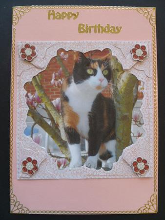 Katy the Tortoishell Kitty Cat 3D Lace Corner Stacker Frame by Carol Sear