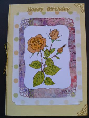 Large Dots Backing Paper by Carol Sear