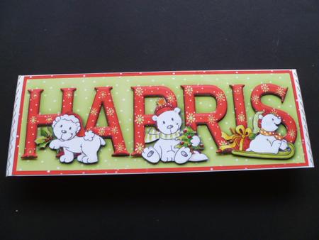 Polar Bear Friends Harris Large Dl Name Card by Carol Sear