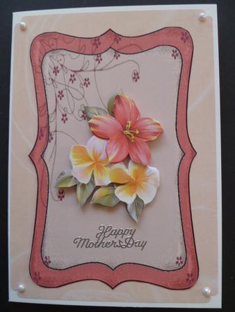 Peach Silk Paper by Carol Sear