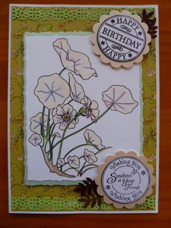 Nasturtium Digi Stamp by Carol Sear