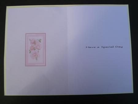 Pink Roses Delight Blank Insert by Carol Sear