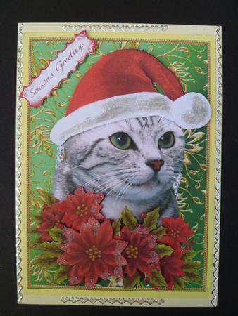 Santa Tabby Kitty Cat and Poinsettia Flowers 1 by Carol Sear