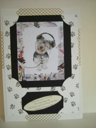 Musical Yorkie by Carol Sear