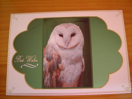 Winged Pyramid Card Owl by Carol Sear