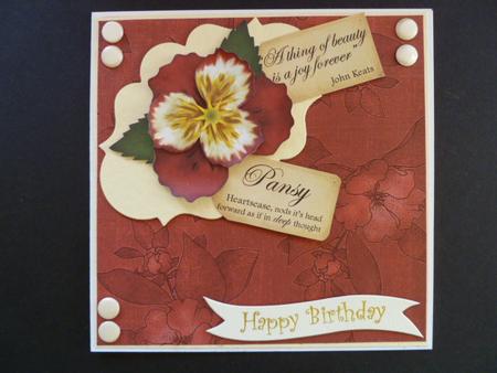 Dark Red Plain Apple Blossom A4 Backing Paper by Carol Sear