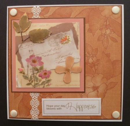 Borange Plain Apple Blossom A4 Backing Paper by Carol Sear