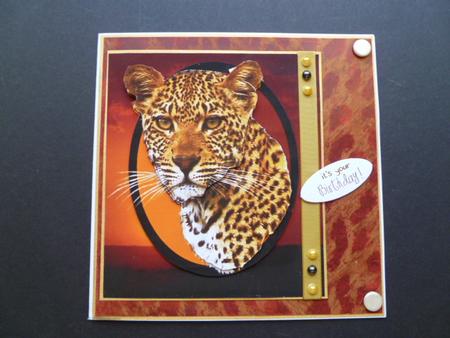 Animal Fur Paper by Carol Sear
