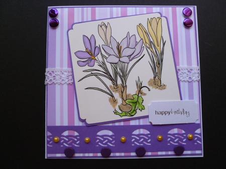 Crocus Digi Stamp by Carol Sear