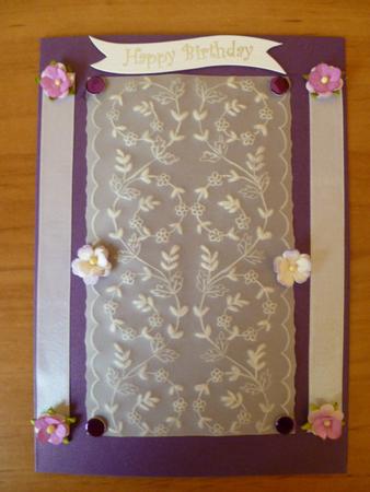 Lace Panel - Freestyle by Carol Sear