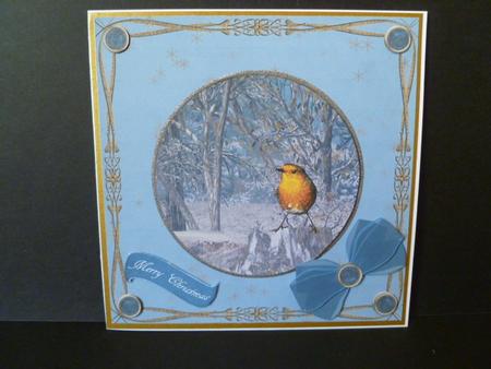 The Winter Robin by Carol Sear