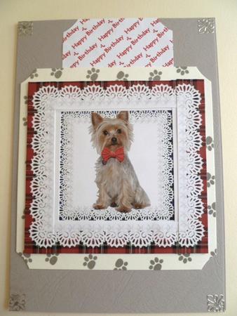 Yorkshire Terrier Dog Square Spiral Edge Tartan Stacker Card by Carol Sear