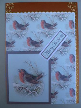 Robin Card Kit by Carol Sear