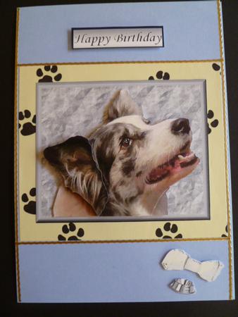 Border Collie Portrait 3D Decoupage by Carol Sear