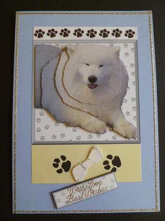 Samoyed 3D Decoupage by Carol Sear