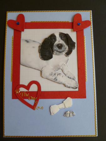 Springer Spaniel 3D Decoupage by Carol Sear