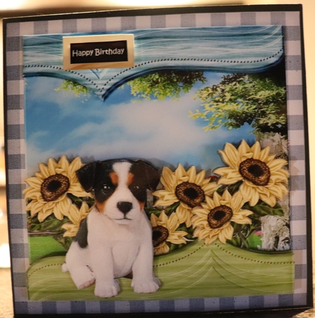Cute Jack Russel Puppy Mini Kit Featured Gallery Photo