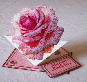 Pink Rose by Carol Dunne