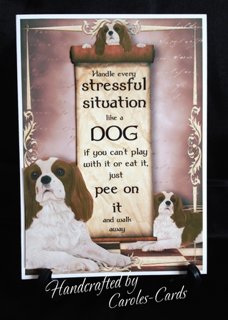 Handle Every Stressful Situation Like a Dog - spaniel by Carole Keeble