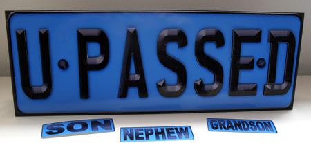 Large Dl You Passed Novelty Number Plate N 3D Decoupage by Carole Keeble