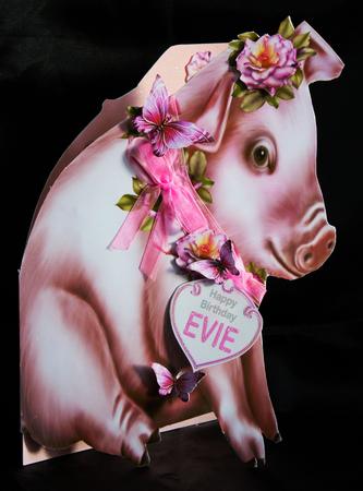 Feelin' Pig in Rosie by Carole Keeble