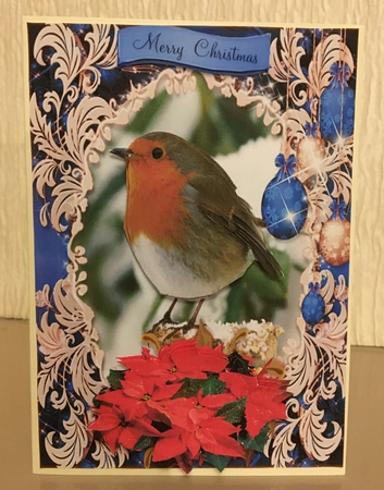 robin by Carole McGregor